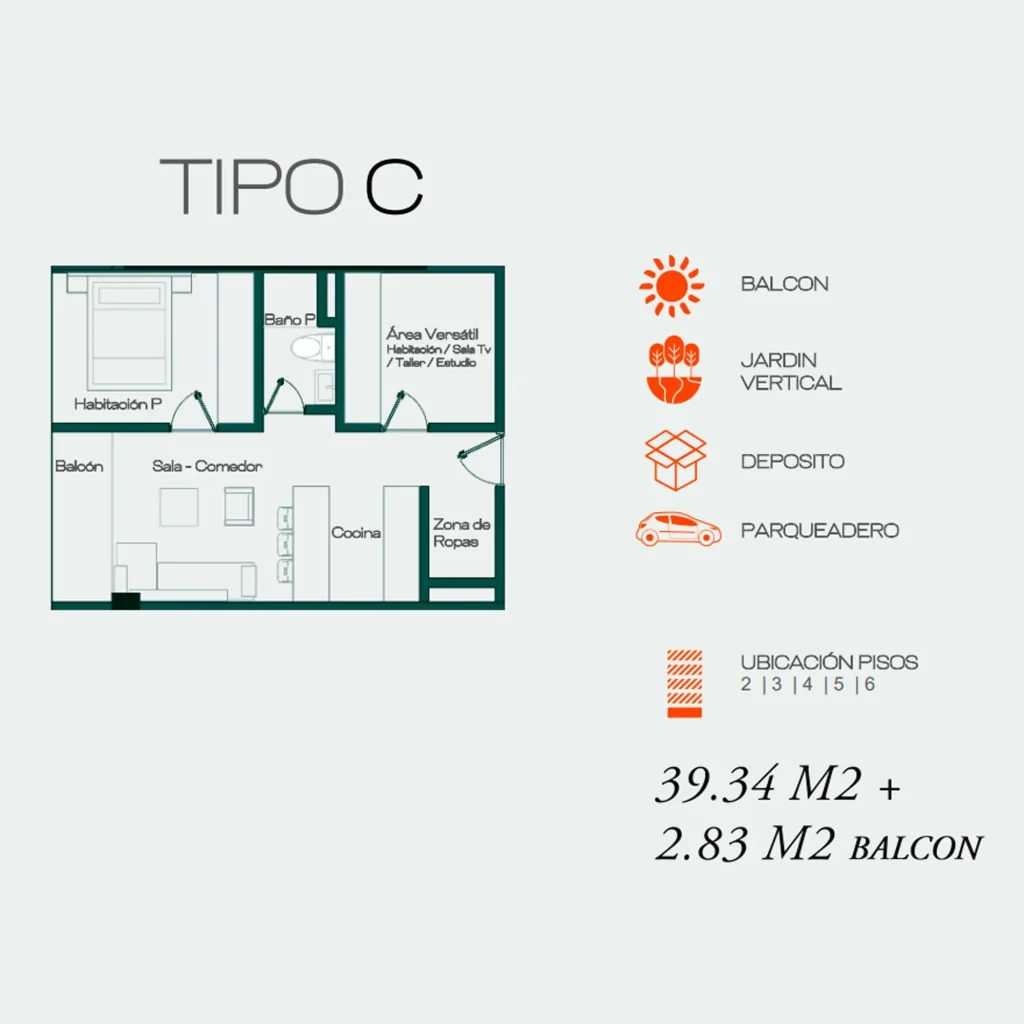 Tipo C